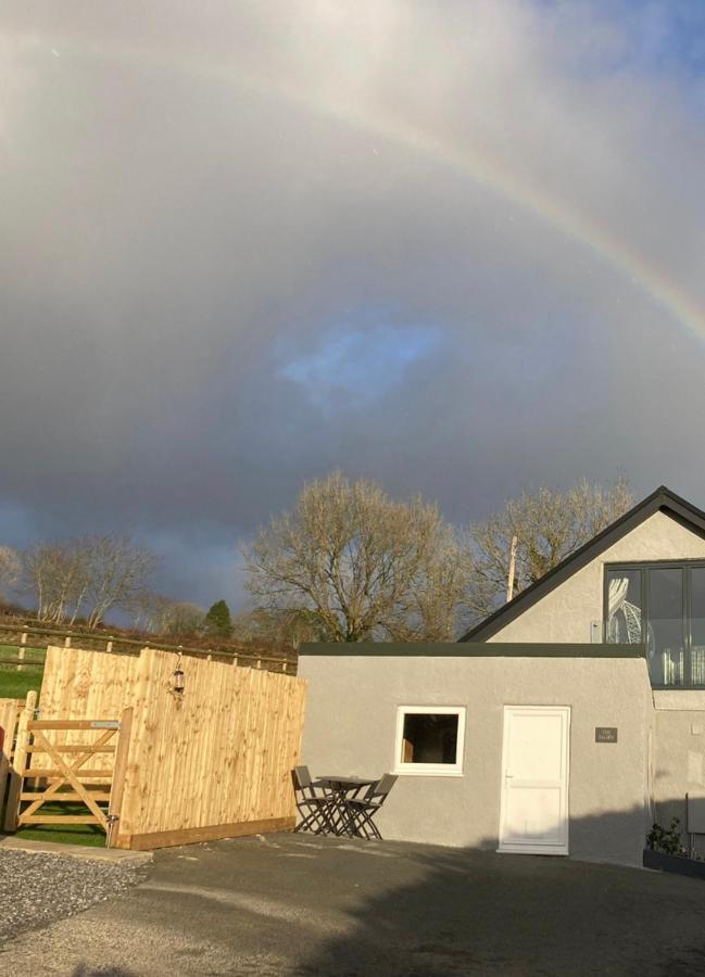Adorable Bedsit For You, Partner And Your Pet! Stepaside  Exterior photo