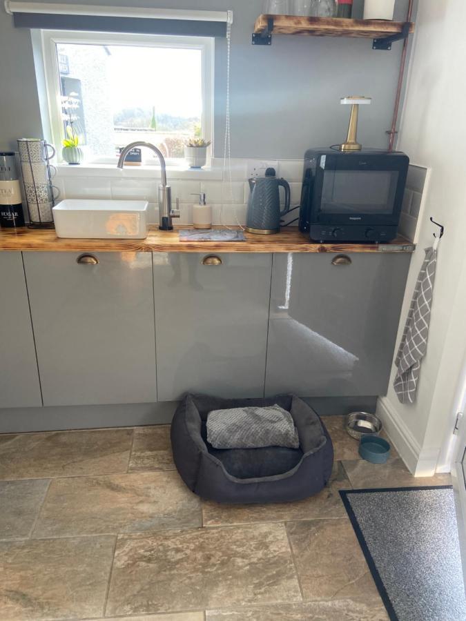 Adorable Bedsit For You, Partner And Your Pet! Stepaside  Exterior photo